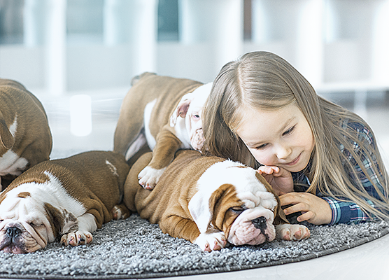 Für Tiere Für Tiere