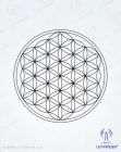 Blume des Lebens - silber 