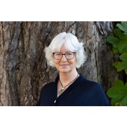 online-Seminar Die hohen Schwingungen nutzen